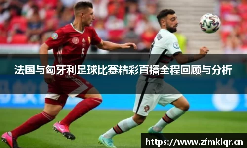 安信12娱乐