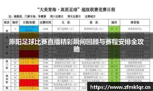 原阳足球比赛直播精彩瞬间回顾与赛程安排全攻略