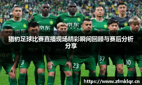安信12娱乐
