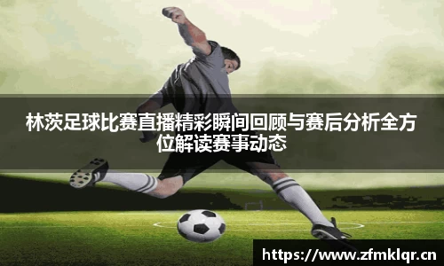 安信12