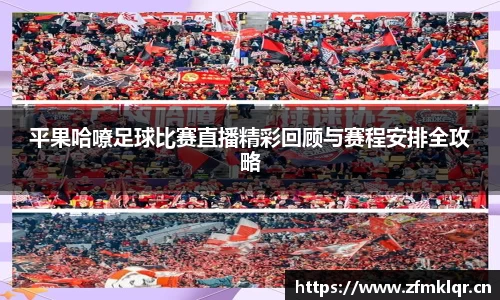 安信12娱乐平台