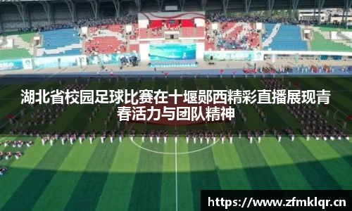 安信12娱乐官网