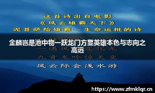 安信12娱乐平台