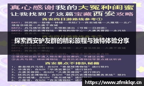 安信12
